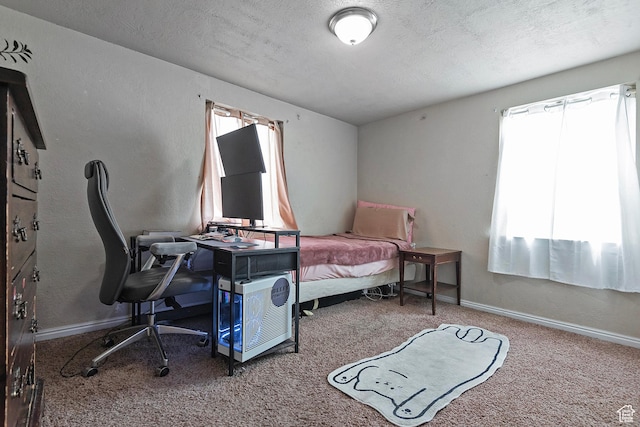 1154 S Montgomery St W, Salt Lake City, UT 84104 - bedroom with multiple windows, carpet floors, a textured ceiling, and baseboards