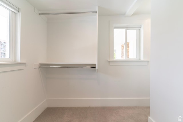 158 N State St, Salt Lake City, UT 84103 - walk in closet featuring carpet floors