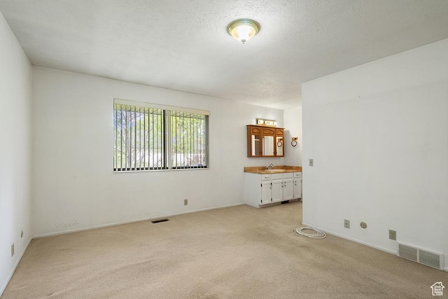 empty room with a sink, light colored carpet, baseboards, and a textured ceiling