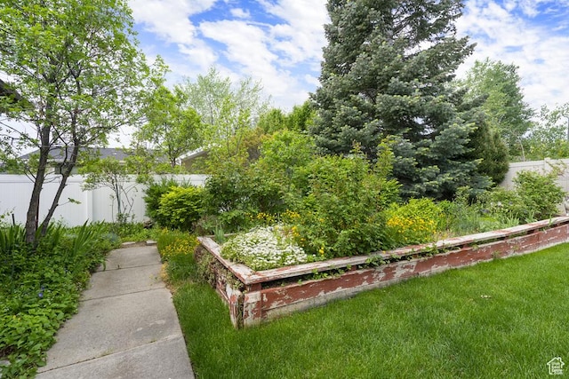 view of yard with a vegetable garden
