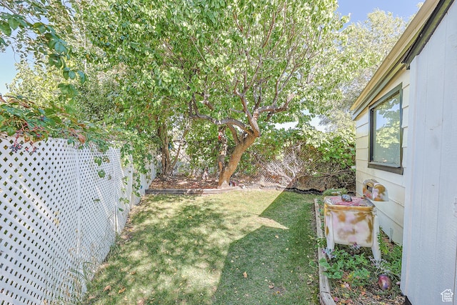 view of yard