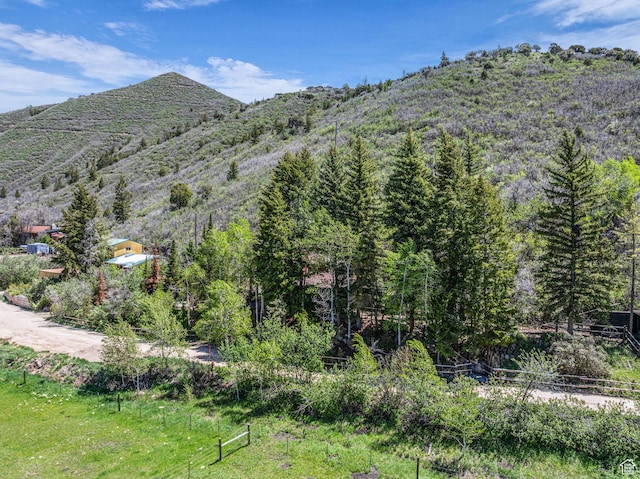 1456 E Weber Wild Rd, Oakley, UT 84055 - view of mountain background