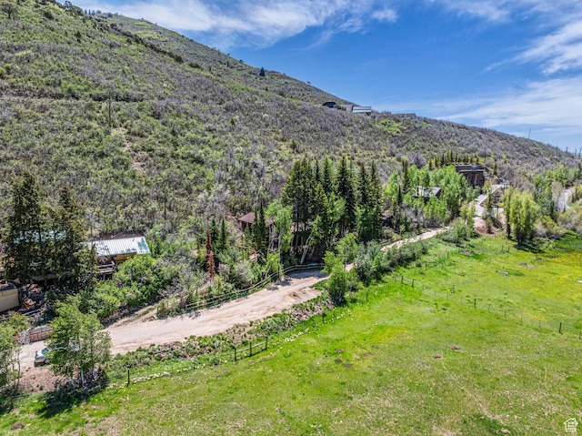 1456 E Weber Wild Rd, Oakley, UT 84055 - mountain view