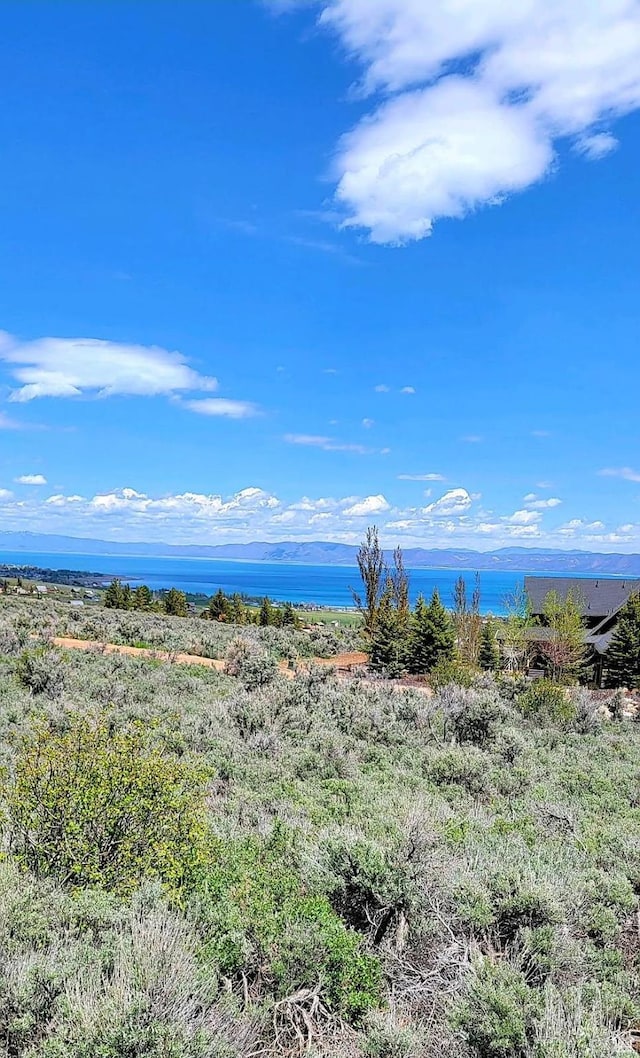 2999 S Serviceberry Dr Unit 44, Garden City, UT 84028