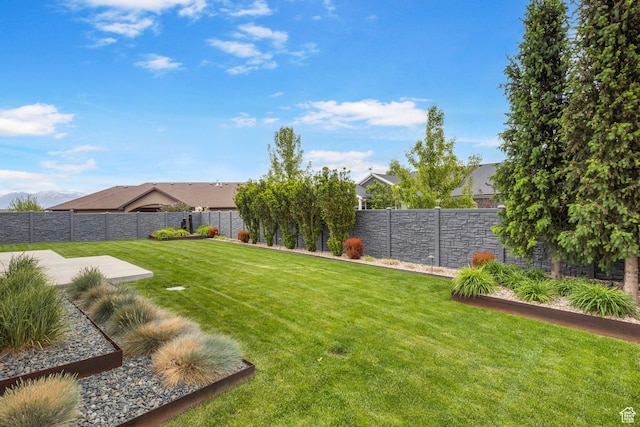 view of yard with a patio