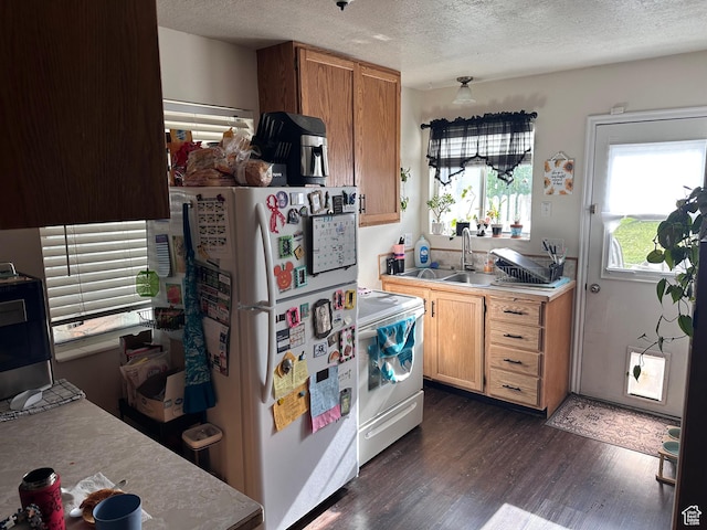 kitchen featuring white appliances, a sink, dark wood-type flooring, light countertops, and a textured ceiling