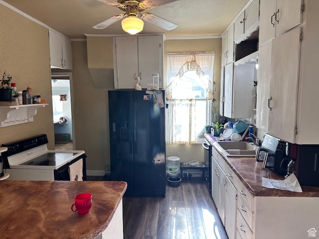 kitchen with freestanding refrigerator, electric stove, a sink, dark wood-style floors, and crown molding