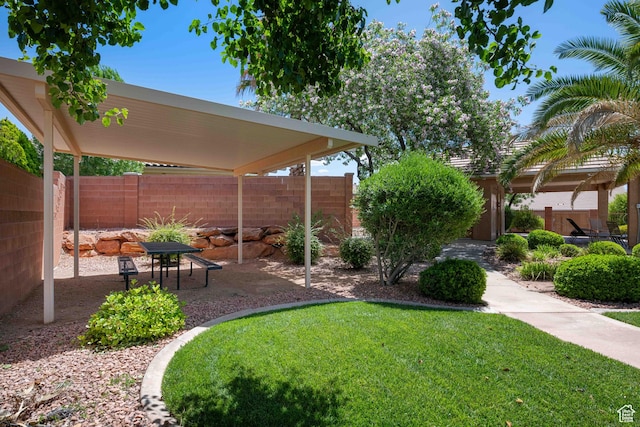 view of yard featuring a patio