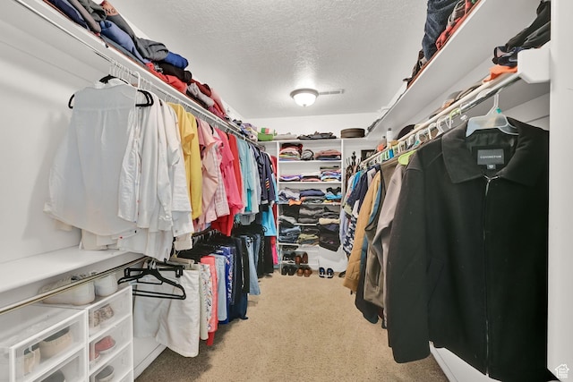 857 E 3250 N, North Ogden, UT 84414 - spacious closet with carpet flooring