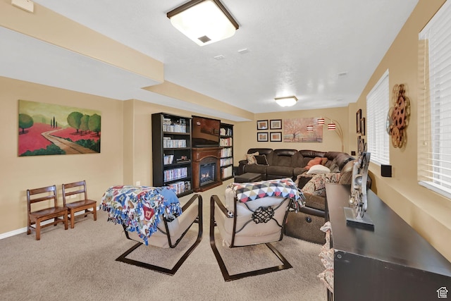 857 E 3250 N, North Ogden, UT 84414 - carpeted living room featuring a glass covered fireplace
