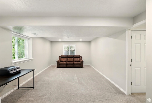 sitting room with carpet, baseboards, plenty of natural light, and a textured ceiling