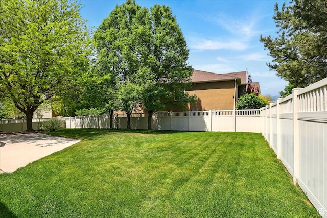 view of yard with a patio area