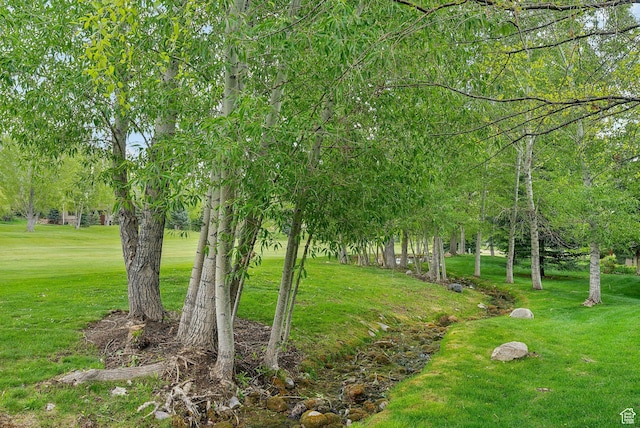 view of grassy yard