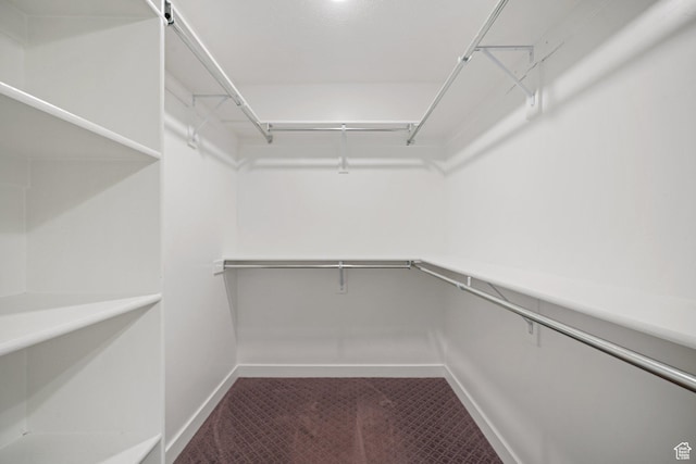 11413 S Kitty Hawk Rd W, South Jordan, UT 84009 - walk in closet featuring carpet floors