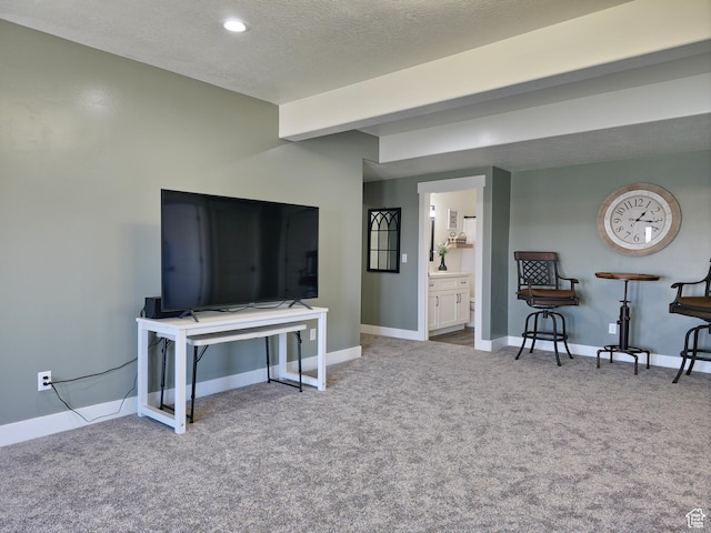 123 Red Hawk Ave, Evanston, WY 82930 - living area featuring carpet flooring, baseboards, and a textured ceiling
