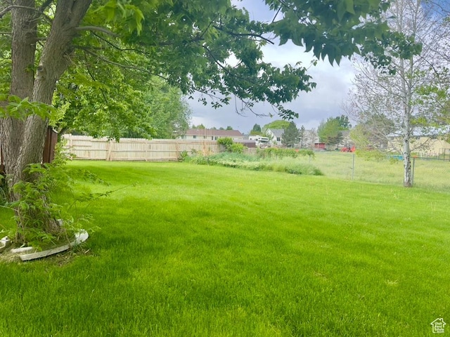 view of yard