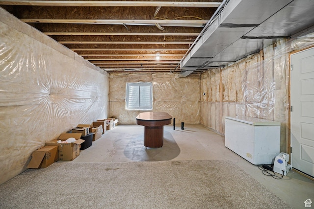 basement with refrigerator