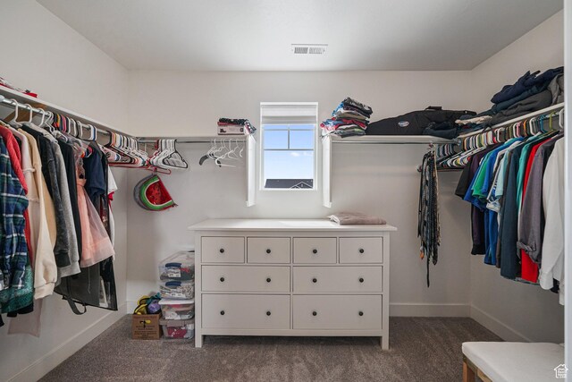 spacious closet with dark carpet