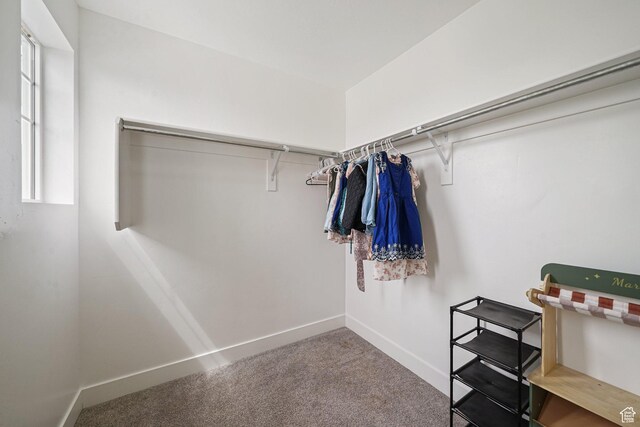 spacious closet with carpet floors