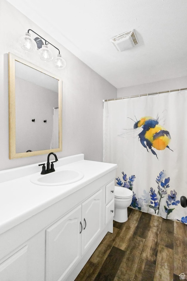 1665 S Kennedy Dr, Marysvale, UT 84750 - bathroom featuring wood finished floors, vanity, and toilet