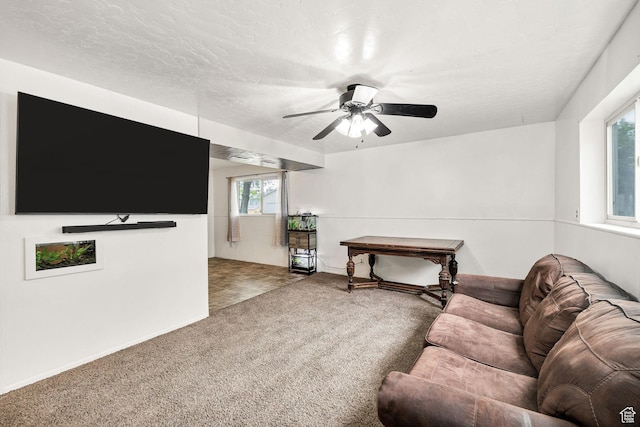 910 W 370 S, Logan, UT 84321 - living area featuring a ceiling fan and carpet floors