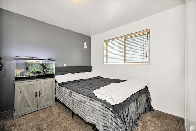 910 W 370 S, Logan, UT 84321 - bedroom featuring carpet and baseboards