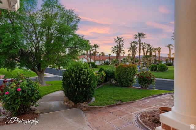 yard at dusk featuring a yard