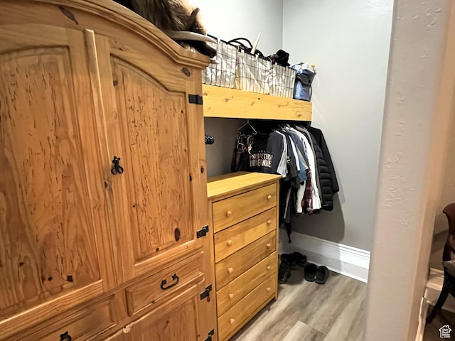 358 E 2970 S, Naples, UT 84078 - spacious closet featuring light wood-style flooring