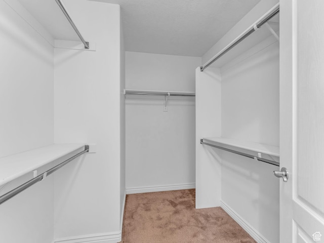 spacious closet featuring carpet floors