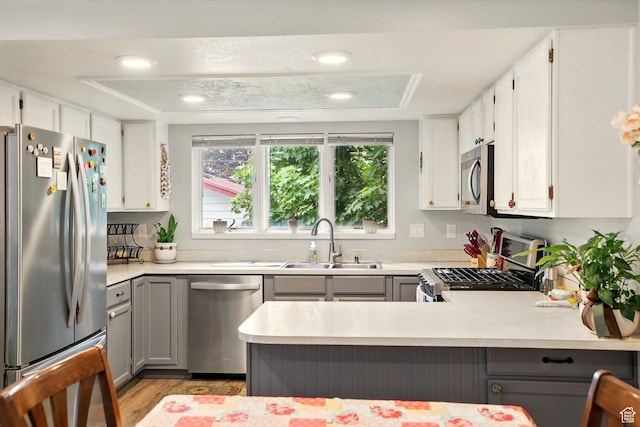 634 W 600 N, Brigham City, UT 84302 - kitchen with appliances with stainless steel finishes, a sink, gray cabinets, and plenty of natural light