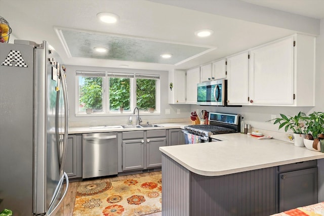 634 W 600 N, Brigham City, UT 84302 - kitchen featuring appliances with stainless steel finishes, a sink, a peninsula, gray cabinets, and light wood-style flooring