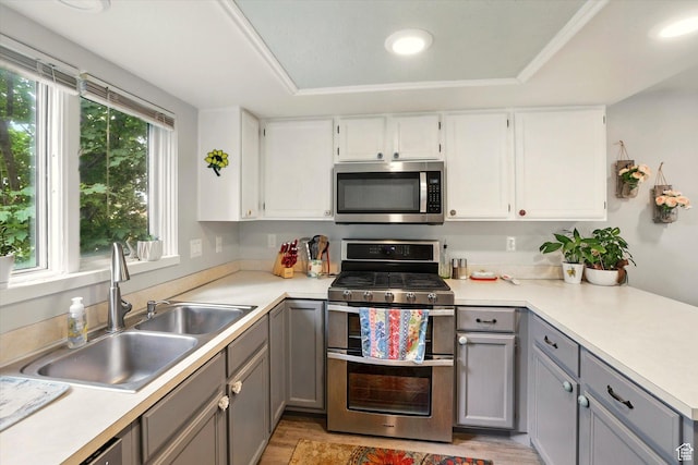 634 W 600 N, Brigham City, UT 84302 - kitchen featuring stainless steel appliances, a sink, gray cabinetry, light countertops, and a tray ceiling