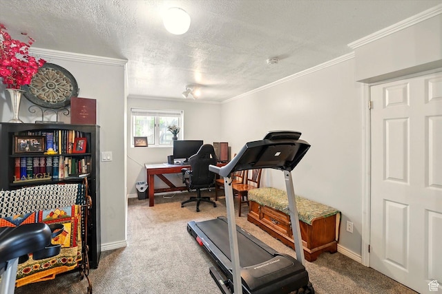634 W 600 N, Brigham City, UT 84302 - workout room featuring carpet floors, crown molding, a textured ceiling, and baseboards