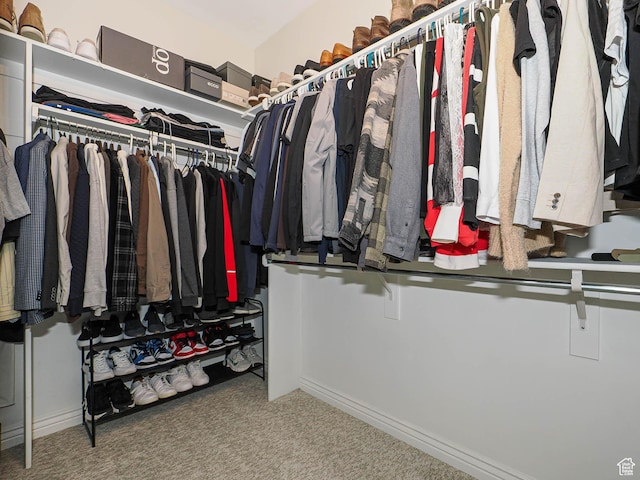 walk in closet with carpet floors