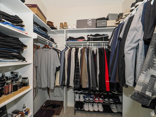 view of walk in closet