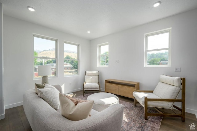 441 N Bishop Pl Unit 4-17, Salt Lake City, UT 84103 - living room with baseboards, wood finished floors, and recessed lighting