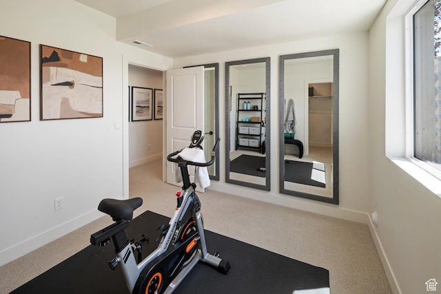 1015 W Sugar Maple Dr, Mapleton, UT 84664 - exercise area with carpet flooring, healthy amount of natural light, and baseboards