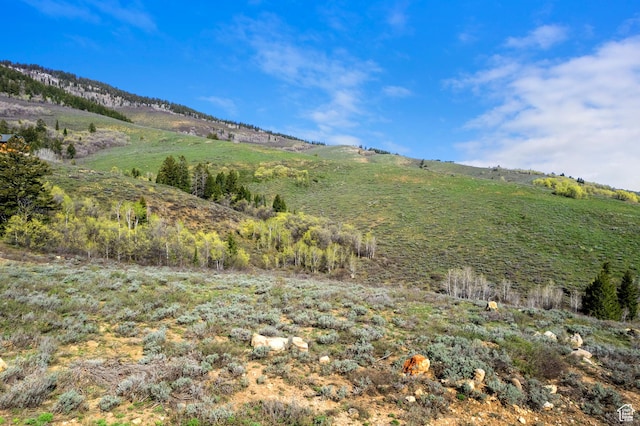 556 Cold Springs Dr Unit 380, Fish Haven, ID 83287