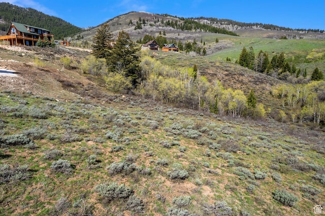 556 Cold Springs Dr Unit 380, Fish Haven, ID 83287