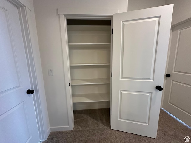 568 S 900 W, American Fork, UT 84003 - view of closet