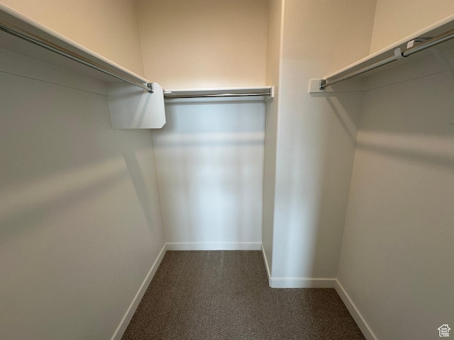 568 S 900 W, American Fork, UT 84003 - walk in closet with dark colored carpet