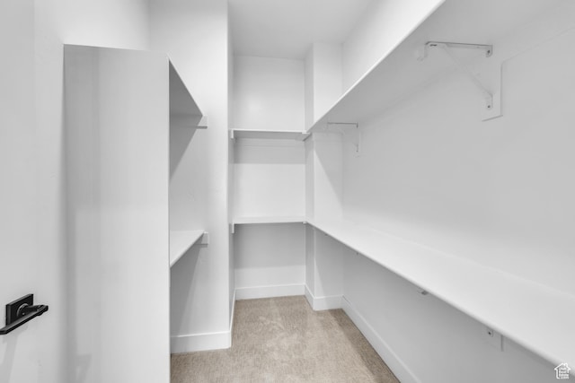 spacious closet featuring light carpet