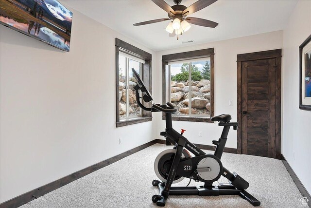 3749 N Eagle Ridge Dr E, Eden, UT 84310 - exercise room featuring carpet flooring, ceiling fan, and baseboards