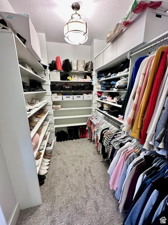 3146 W 1280 N, Provo, UT 84601 - walk in closet with carpet flooring