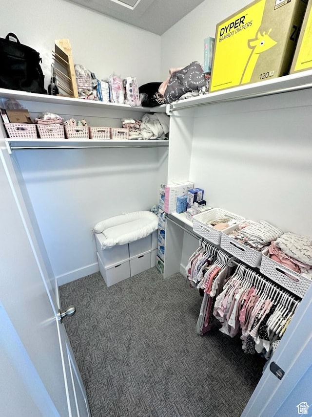3146 W 1280 N, Provo, UT 84601 - spacious closet featuring carpet floors