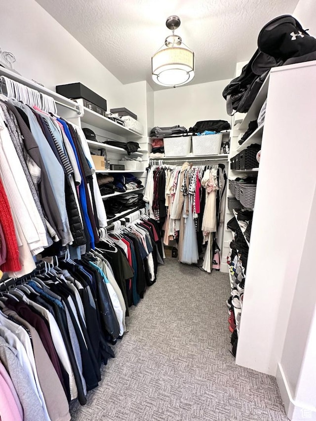 3146 W 1280 N, Provo, UT 84601 - spacious closet featuring carpet