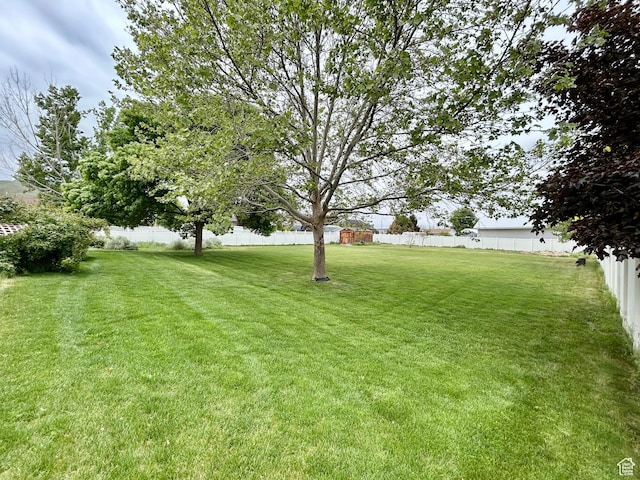 view of yard