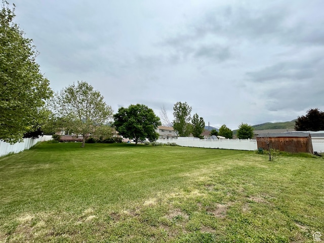 view of yard