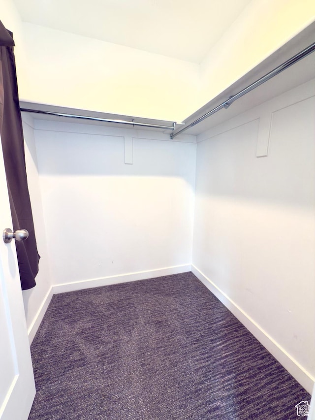 spacious closet with carpet
