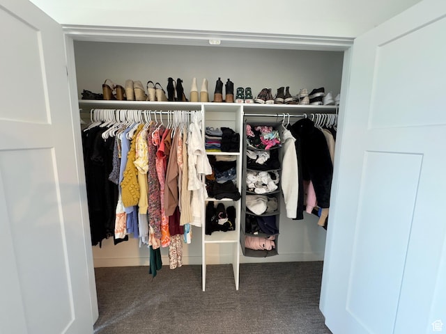 view of closet